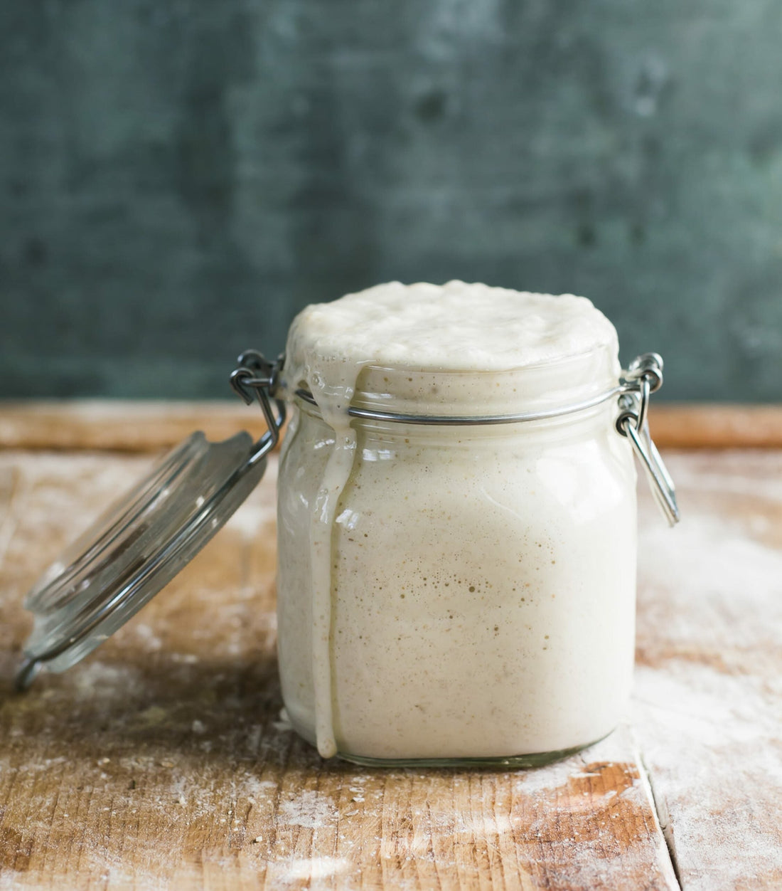 Sourdough Starter Guide